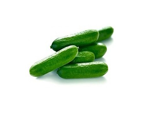 تصویر 2 از خرید و قیمت خیار قلمی ریز + فروش عمده